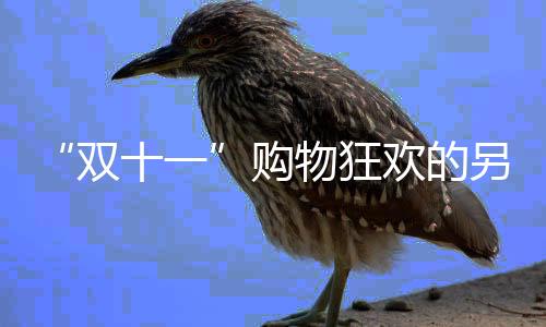 “双十一”购物狂欢的另一面:沉重的环境代价