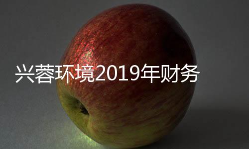 兴蓉环境2019年财务报告分析:未来水务市场机遇与挑战并存