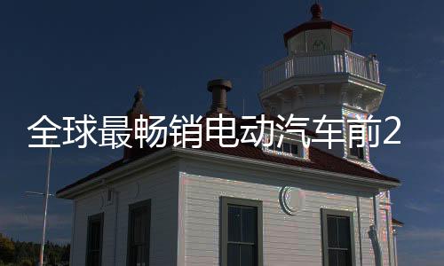 全球最畅销电动汽车前20名销量榜单:中国9款占半壁江山(图)