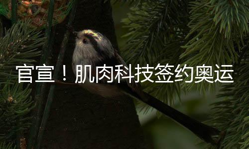 官宣!肌肉科技签约奥运冠军石智勇!