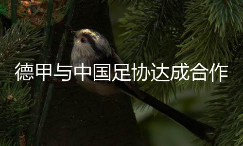 德甲与中国足协达成合作,Bundesliga Dream“逐梦德甲”项目正式启动