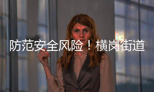 防范安全风险!横岗街道召开“119”消防安全宣传月活动暨火灾事故应急演练